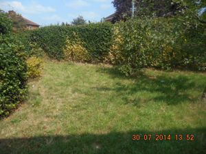 Photo 10- click for photo gallery